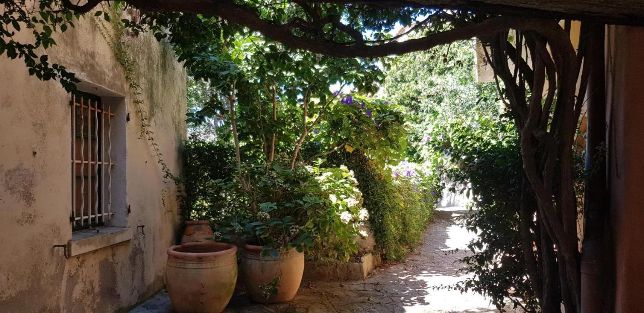 L'Odyssee Provencale, Un Duplex De Charme De 2 Chambres Au Pied Du Village Medieval De Bormes-Les-Mimosas, Offrant Des Prestations Haut De Gamme Et Une Superbe Vue Sur Le Massif Des Maures Exterior foto